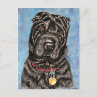 Chinesischer Shar-Pei Hund Art - Tia Postkarte