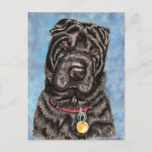 Chinesischer Shar-Pei Hund Art - Tia Postkarte (Vorderseite)