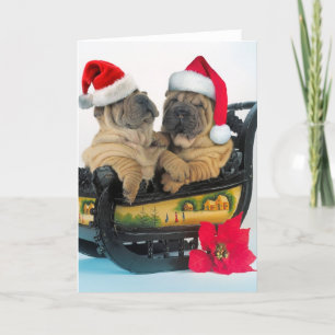 Chinesischer Shar-Pei mit Weihnachtshüten Feiertagskarte