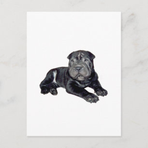 Chinesischer Shar Pei - schwarzer Welpe Postkarte
