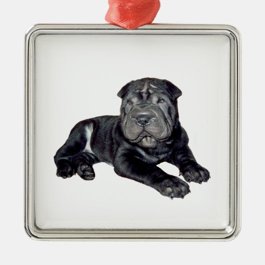Chinesischer Shar Pei - schwarzer Welpe Silbernes Ornament (Vorne)