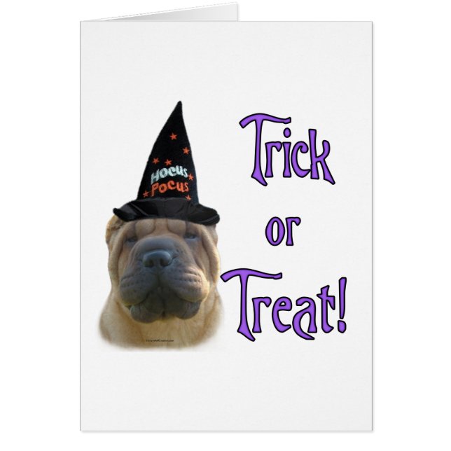 Chinesischer Shar-Pei-Trick (Vorne)