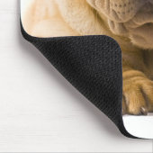Chinesischer Shar Pei Welpe Hund - Sharpei Mousepad (Ecke)