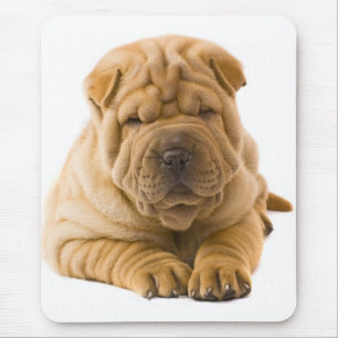 Chinesischer Shar Pei Welpe Hund - Sharpei Mousepad