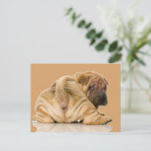 Chinesischer Shar-pei-Welpenhund Postkarte (Stehend Vorderseite)