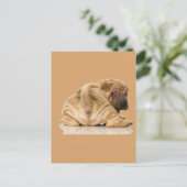 Chinesischer Shar-pei-Welpenhund Postkarte (Stehend Vorderseite)