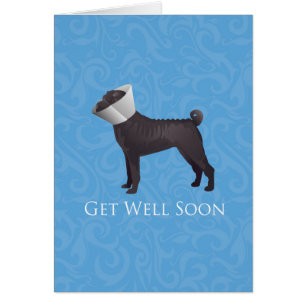 Chinesischer Shar Pei wird bald gut als Hundezucht