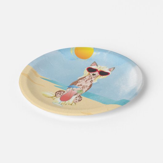 Chinesischer Sommer Pappteller (Schrägansicht)