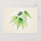Chinesischer Tinte May Bug auf Linden Postkarte (Vorderseite)