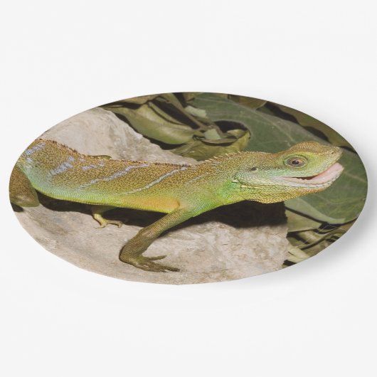 Chinesischer Wasserdrache für Eidechsenliebhaber Pappteller (Schrägansicht)