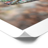 Chinesischer Wasserdrache Poster (Ecke)