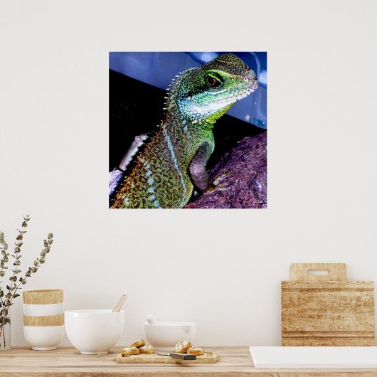 Chinesischer Wasserdrache Poster (Küche)