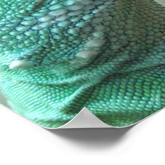 Chinesischer Wasserdrache Poster (Ecke)