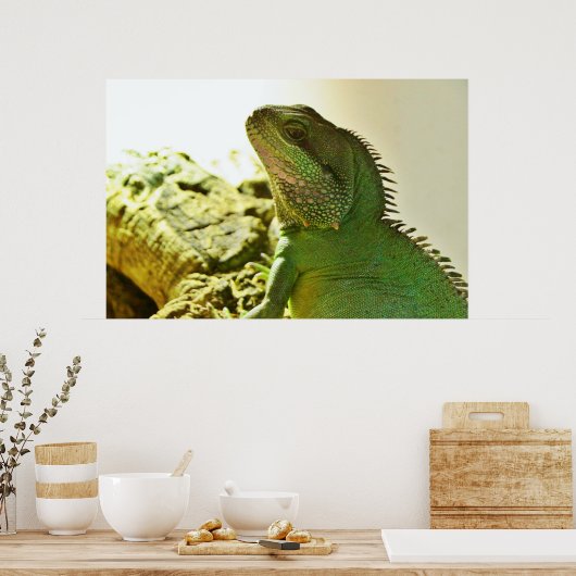 Chinesischer Wasserdrache Poster (Küche)