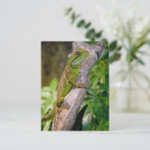 Chinesischer Wasserdrache Postkarte (Stehend Vorderseite)