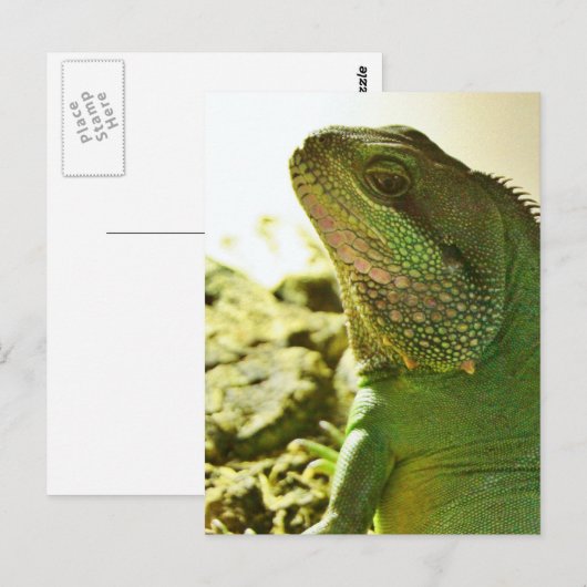 Chinesischer Wasserdrache Postkarte (Vorne/Hinten)