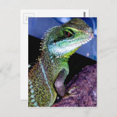 Chinesischer Wasserdrache Postkarte (Vorne/Hinten)