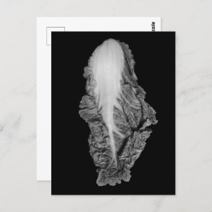 Chinesisches Cabbage-Portrait-Foto Postkarte