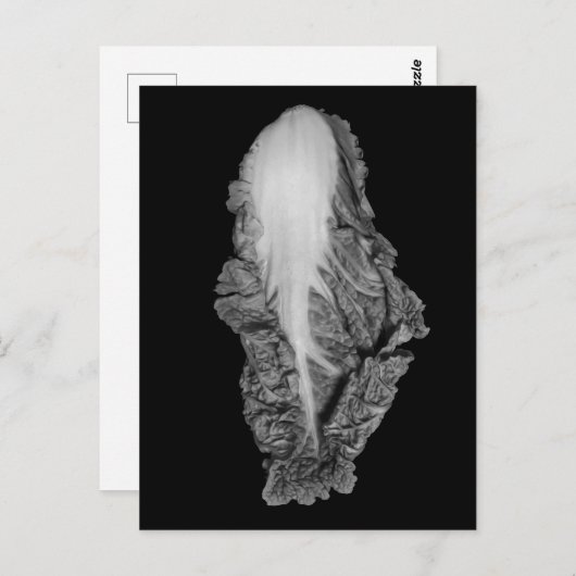 Chinesisches Cabbage-Portrait-Foto Postkarte (Vorne/Hinten)