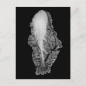 Chinesisches Cabbage-Portrait-Foto Postkarte (Vorderseite)