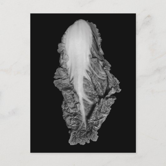 Chinesisches Cabbage-Portrait-Foto Postkarte (Vorderseite)