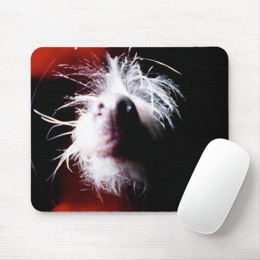 Chinesisches Fisheye mit Haube Mousepad (Mit Mouse)