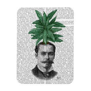 Chinesisches Immergrün-Kopf-Pflanzen-Kopf Magnet