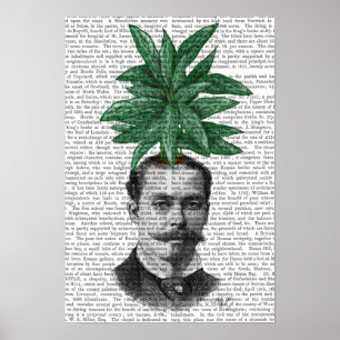 Chinesisches Immergrün-Kopf-Pflanzen-Kopf Poster