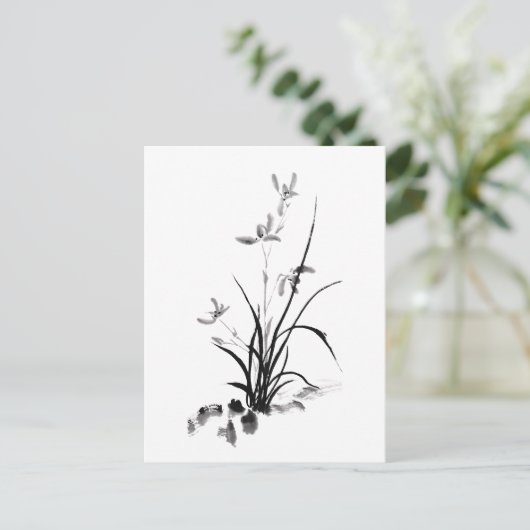 Chinesisches Iris - bw. Foto Postkarte (Stehend Vorderseite)