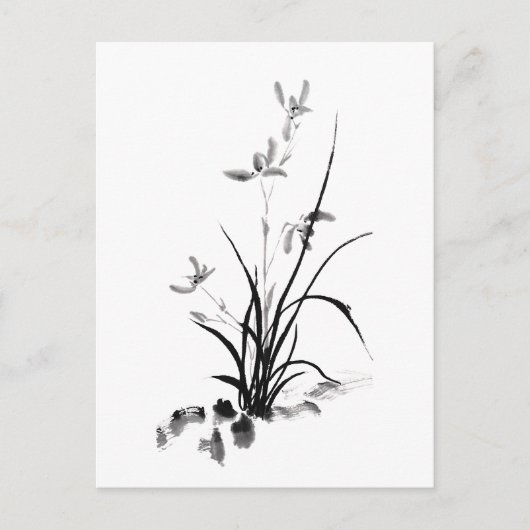 Chinesisches Iris - bw. Foto Postkarte (Vorderseite)