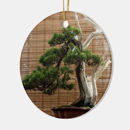 Chinesisches Juniper Bonsai Tree Foto Keramik Ornament (Links)