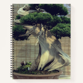 Chinesisches Juniper Bonsai Tree Foto Notizblock