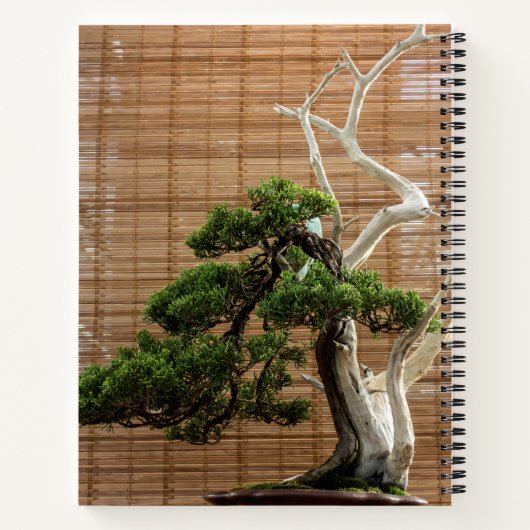 Chinesisches Juniper Bonsai Tree Foto Notizblock (Rückseite)