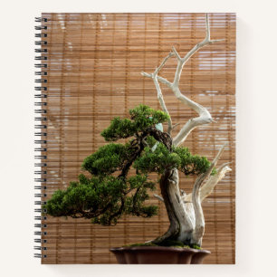 Chinesisches Juniper Bonsai Tree Foto Notizblock