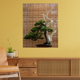 Chinesisches Juniper Bonsai Tree Foto Poster