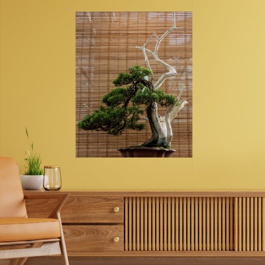 Chinesisches Juniper Bonsai Tree Foto Poster (Wohnzimmer 2)