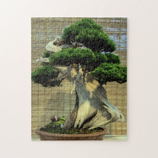 Chinesisches Juniper Bonsai Tree Foto Puzzle (Vertikal)