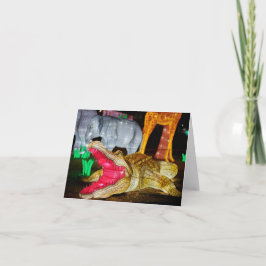 Chinesisches Laternenkunstkreuz - Anmerkung