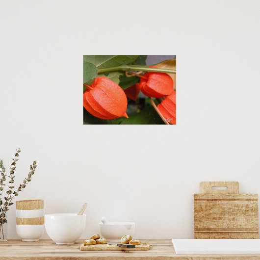 Chinesisches Laternenposter Poster (Küche)