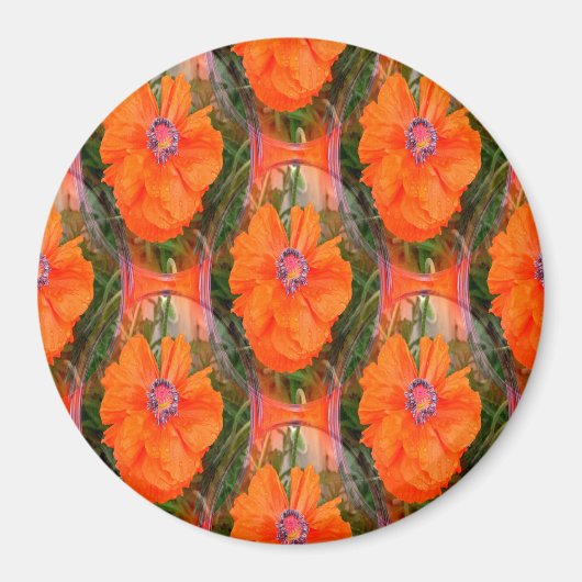 Chinesisches Mohnfeld... Magnet (Vorne)