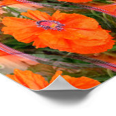 Chinesisches Mohnfeld... Poster (Ecke)