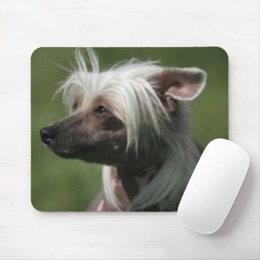 Chinesisches Mousepad mit Haube (Mit Mouse)