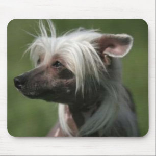 Chinesisches Mousepad mit Haube