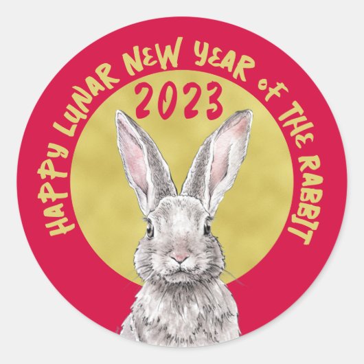 Chinesisches Neujahr 2023 Kaninchen Bunny Animal R Runder Aufkleber (Vorderseite)