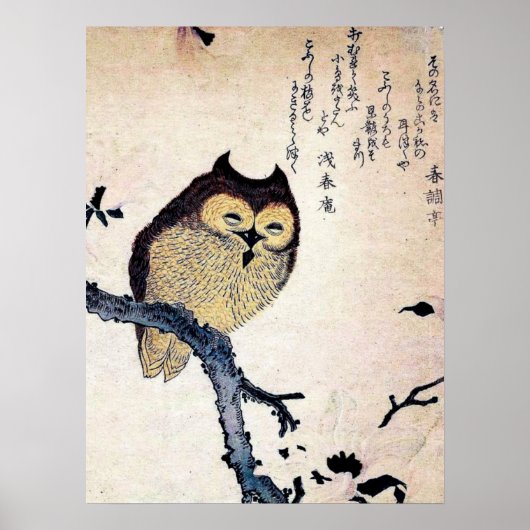 Chinesisches Owl Print Poster (Vorne)
