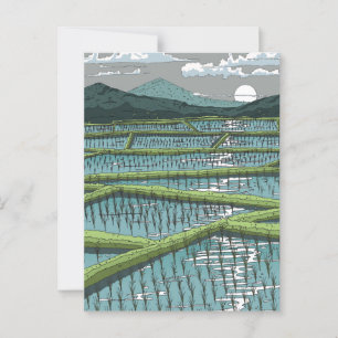 Chinesisches Paddy Field Postkarte