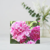 Chinesisches Peony [Postcard] Postkarte (Stehend Vorderseite)