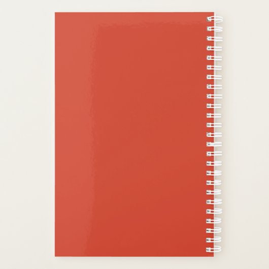 Chinesisches Pferd Planer (Rückseite)