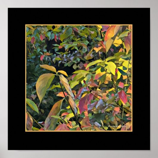 Chinesisches Pistio im Herbst Poster (Vorne)