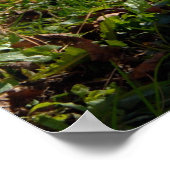 Chinesisches Shar-pei-Puppy-Poster Poster (Ecke)